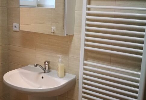 Rekonstrukce koupelny Mali – pohled 6